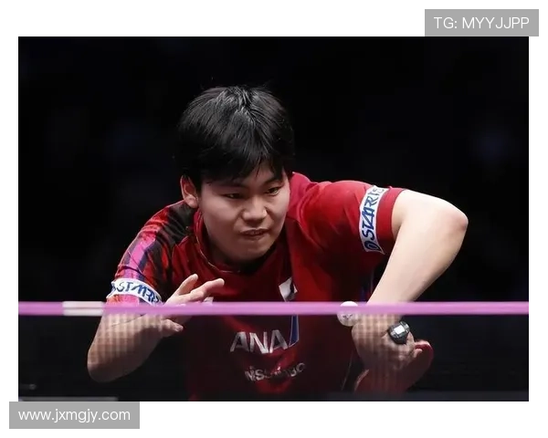 日本球迷狂欢 松岛辉空勇战世界第1 日本球迷狂欢 松岛辉空勇战世界第1